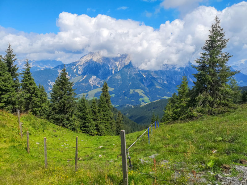 leogang mtb camp