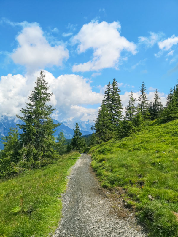 asitz trail mtb ride