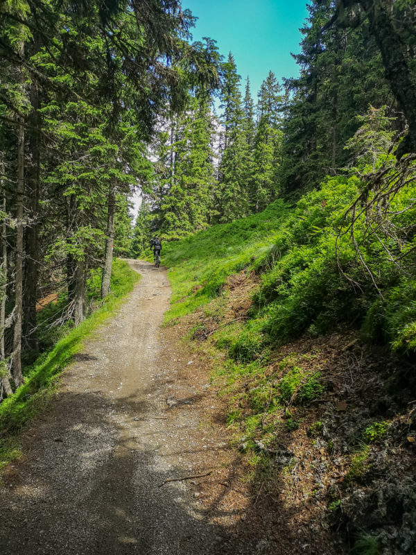 mtb camp asitz trail