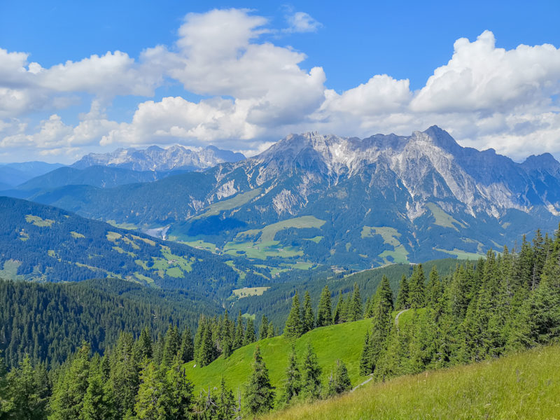 leogang mtb view