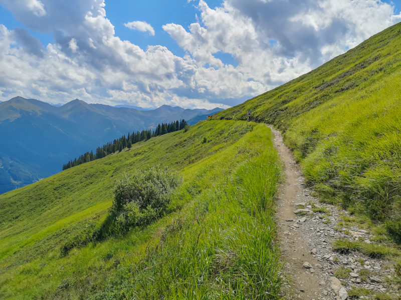 Wurzel Trail